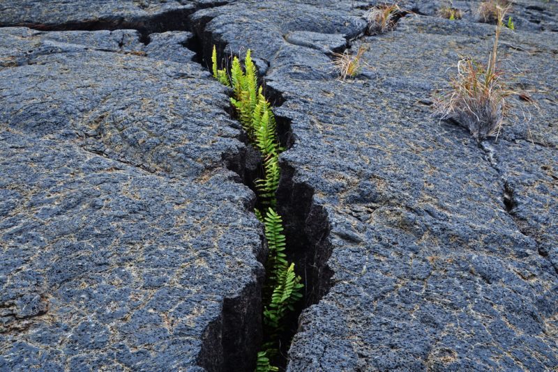 Das Geheimnis der Stehaufmännchen - Resilienz und Selbstfürsorge für Freiwilligenkoordinator*innen